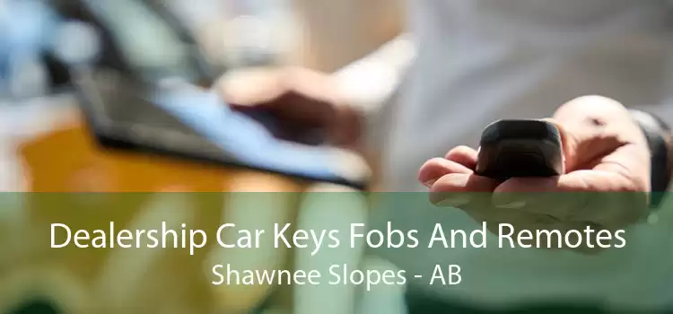 Dealership Car Keys Fobs And Remotes Shawnee Slopes - AB