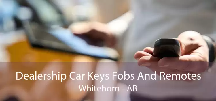 Dealership Car Keys Fobs And Remotes Whitehorn - AB
