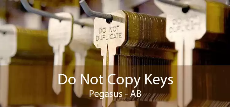 Do Not Copy Keys Pegasus - AB