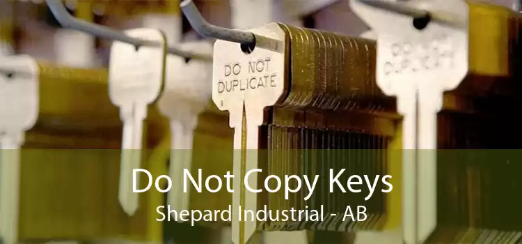 Do Not Copy Keys Shepard Industrial - AB