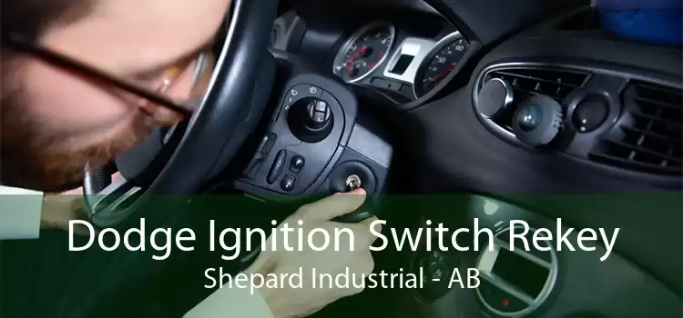 Dodge Ignition Switch Rekey Shepard Industrial - AB