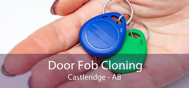 Door Fob Cloning Castleridge - AB