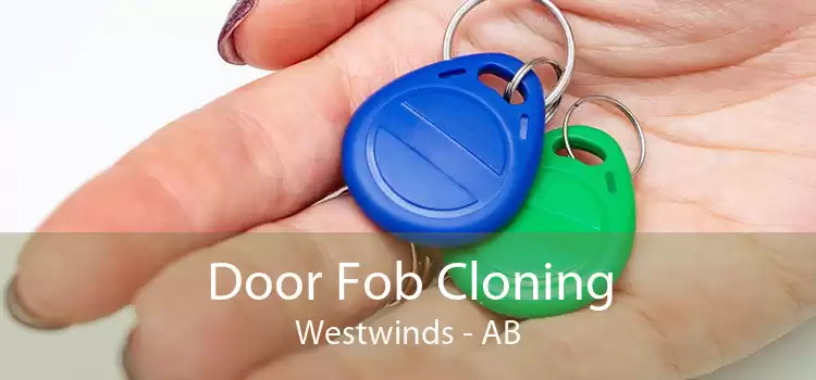 Door Fob Cloning Westwinds - AB