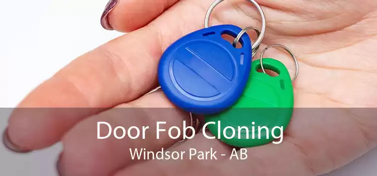 Door Fob Cloning Windsor Park - AB