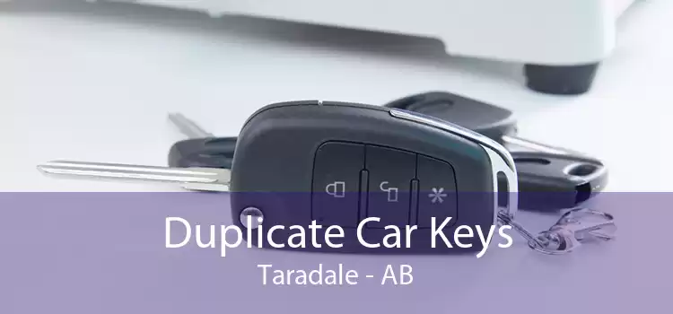 Duplicate Car Keys Taradale - AB