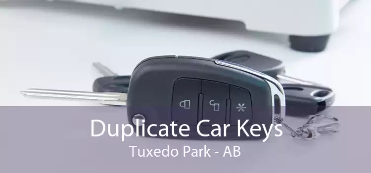 Duplicate Car Keys Tuxedo Park - AB