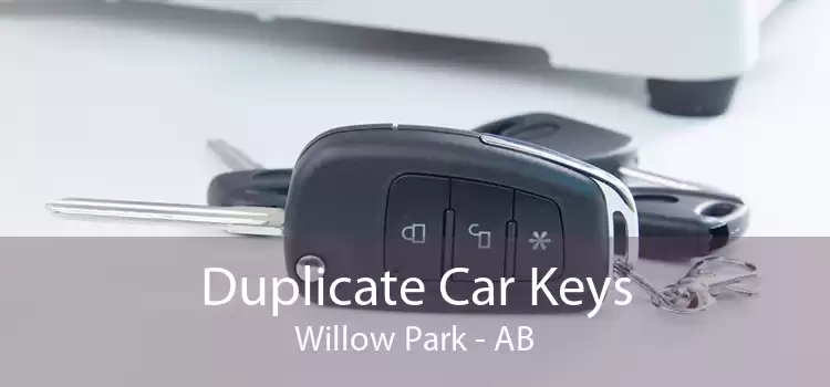 Duplicate Car Keys Willow Park - AB