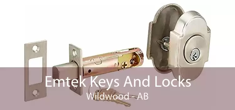 Emtek Keys And Locks Wildwood - AB