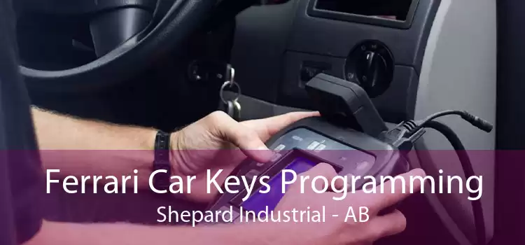 Ferrari Car Keys Programming Shepard Industrial - AB
