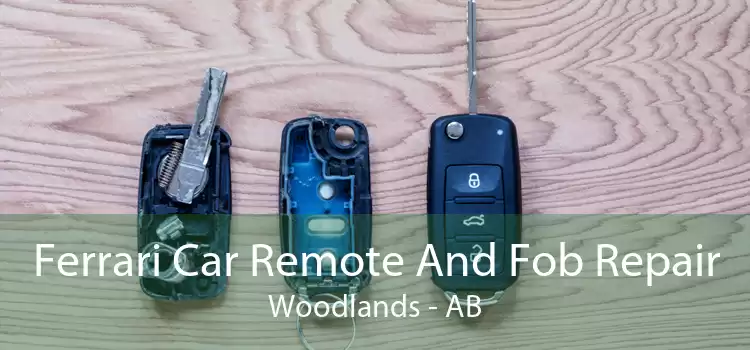 Ferrari Car Remote And Fob Repair Woodlands - AB
