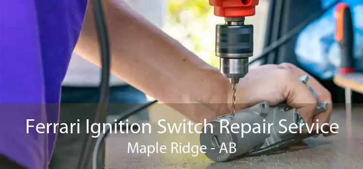 Ferrari Ignition Switch Repair Service Maple Ridge - AB