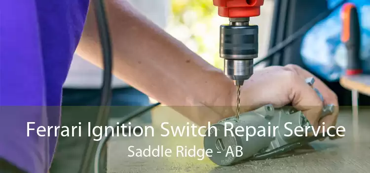 Ferrari Ignition Switch Repair Service Saddle Ridge - AB
