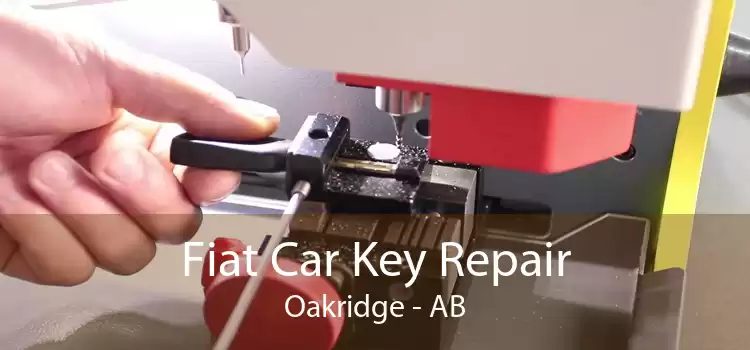 Fiat Car Key Repair Oakridge - AB