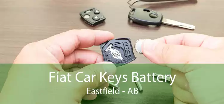 Fiat Car Keys Battery Eastfield - AB