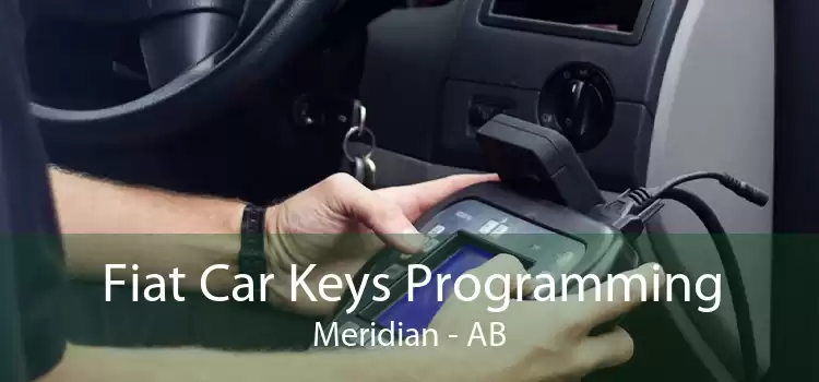 Fiat Car Keys Programming Meridian - AB