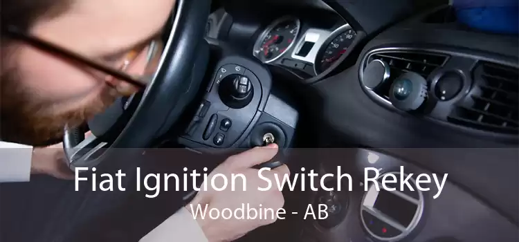 Fiat Ignition Switch Rekey Woodbine - AB