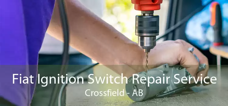 Fiat Ignition Switch Repair Service Crossfield - AB
