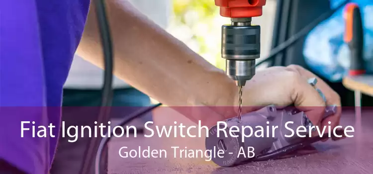 Fiat Ignition Switch Repair Service Golden Triangle - AB