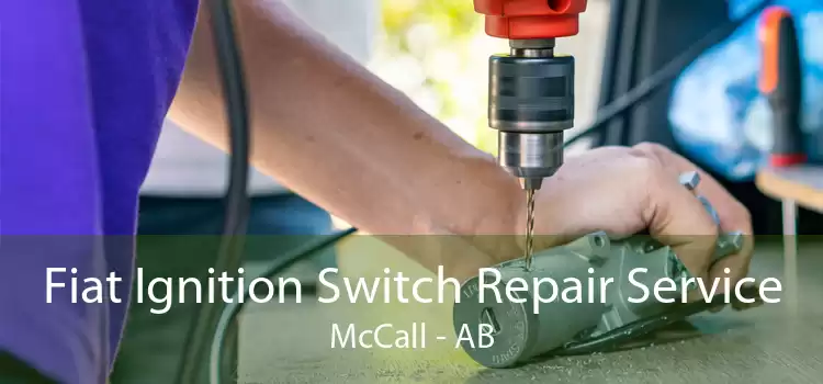 Fiat Ignition Switch Repair Service McCall - AB