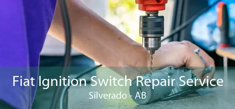 Fiat Ignition Switch Repair Service Silverado - AB