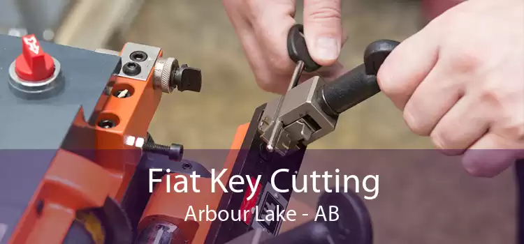 Fiat Key Cutting Arbour Lake - AB