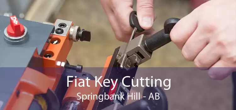 Fiat Key Cutting Springbank Hill - AB