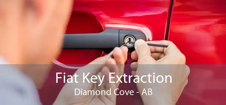 Fiat Key Extraction Diamond Cove - AB