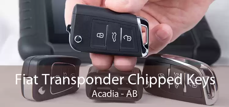 Fiat Transponder Chipped Keys Acadia - AB