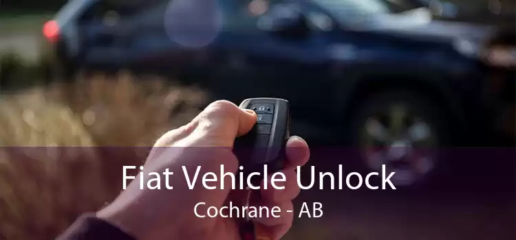 Fiat Vehicle Unlock Cochrane - AB