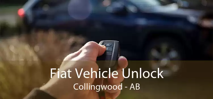 Fiat Vehicle Unlock Collingwood - AB