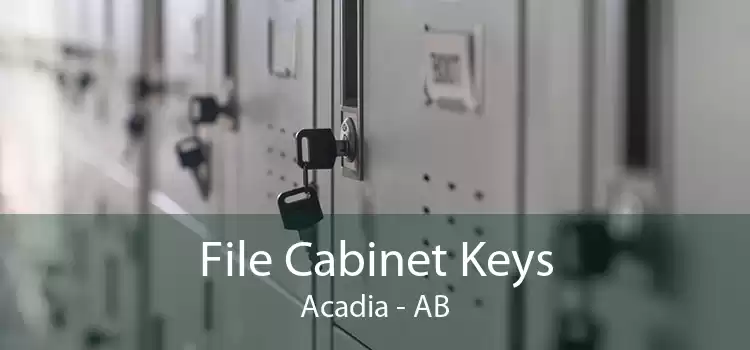 File Cabinet Keys Acadia - AB