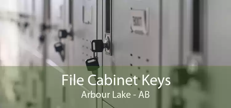 File Cabinet Keys Arbour Lake - AB