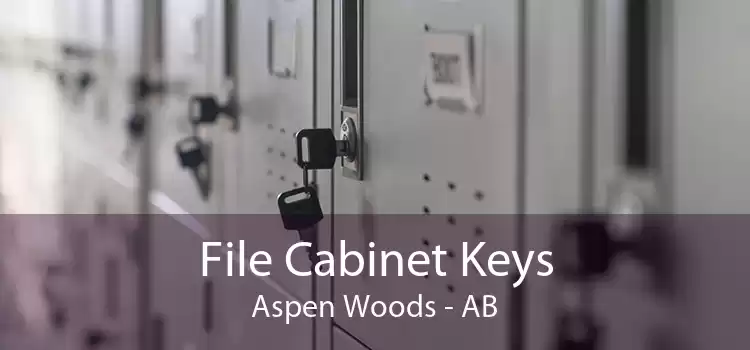 File Cabinet Keys Aspen Woods - AB