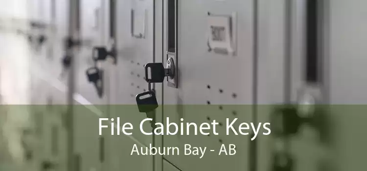 File Cabinet Keys Auburn Bay - AB