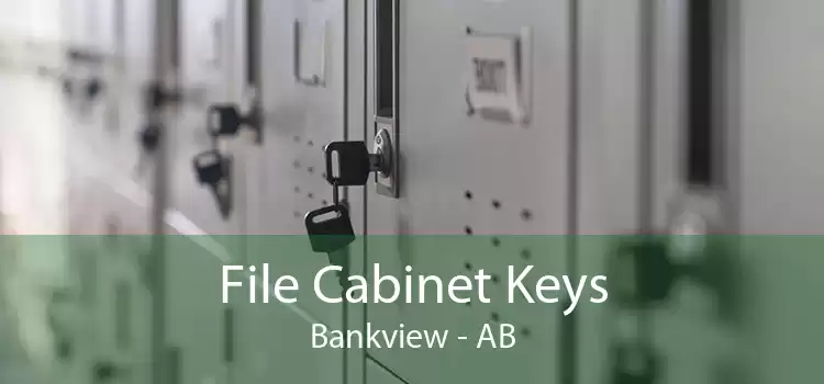 File Cabinet Keys Bankview - AB