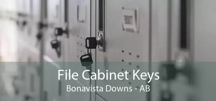 File Cabinet Keys Bonavista Downs - AB