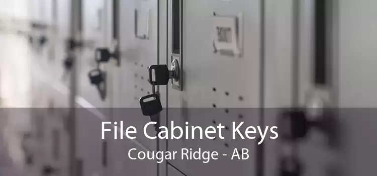 File Cabinet Keys Cougar Ridge - AB