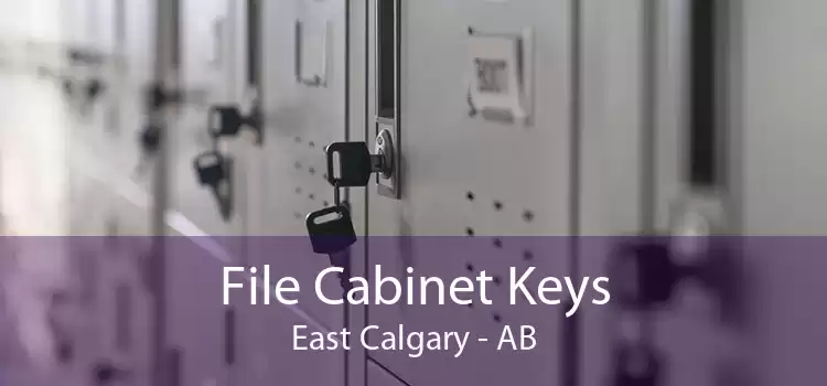 File Cabinet Keys East Calgary - AB