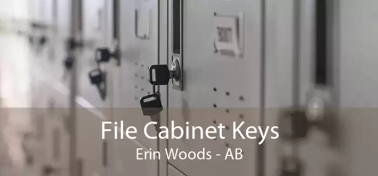 File Cabinet Keys Erin Woods - AB