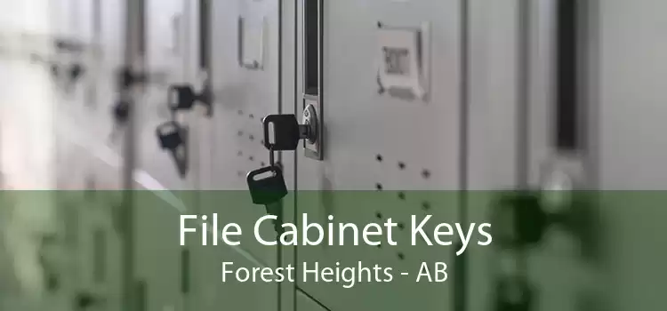 File Cabinet Keys Forest Heights - AB