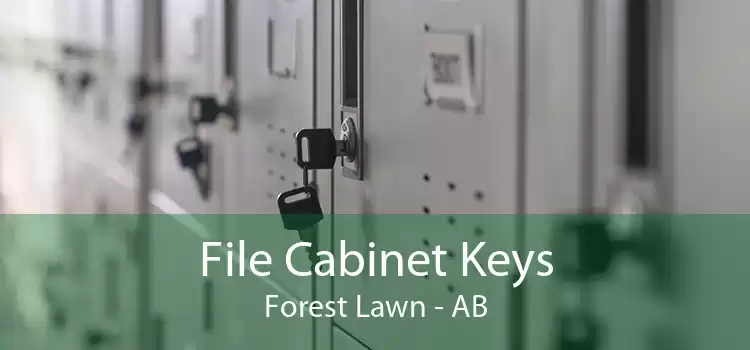 File Cabinet Keys Forest Lawn - AB