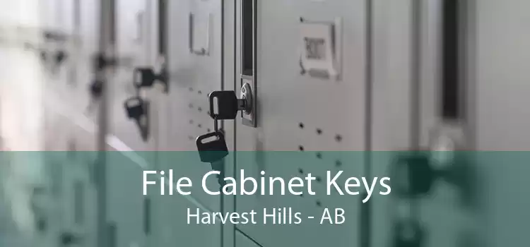 File Cabinet Keys Harvest Hills - AB