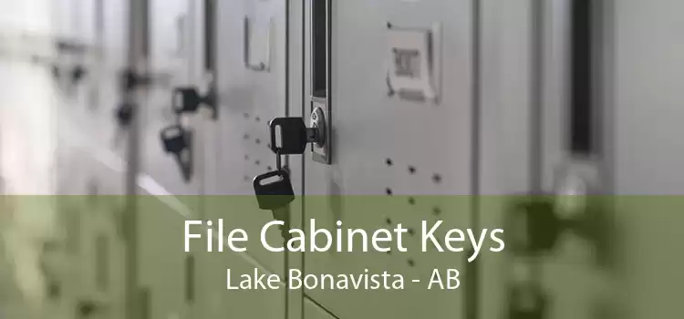 File Cabinet Keys Lake Bonavista - AB