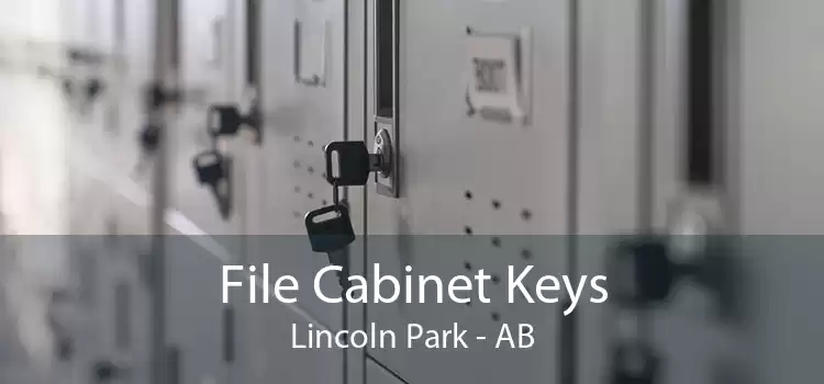 File Cabinet Keys Lincoln Park - AB