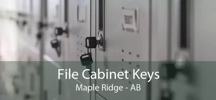 File Cabinet Keys Maple Ridge - AB