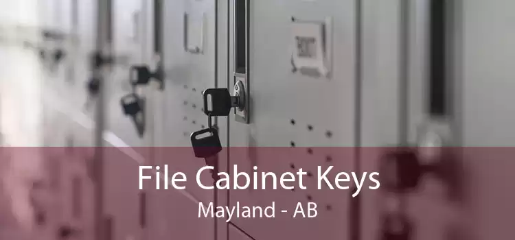 File Cabinet Keys Mayland - AB