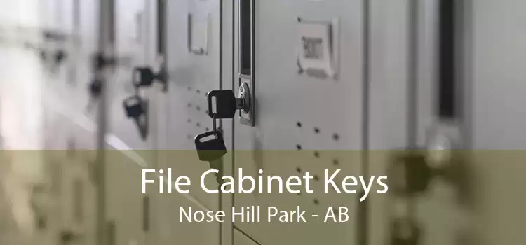 File Cabinet Keys Nose Hill Park - AB