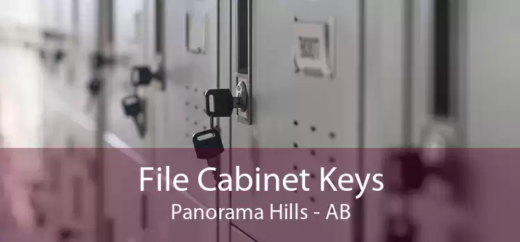 File Cabinet Keys Panorama Hills - AB