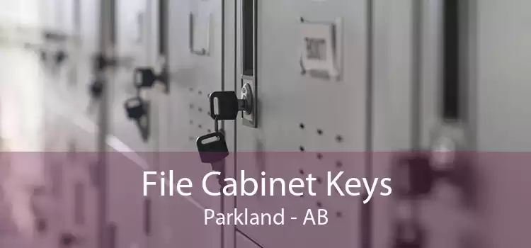 File Cabinet Keys Parkland - AB