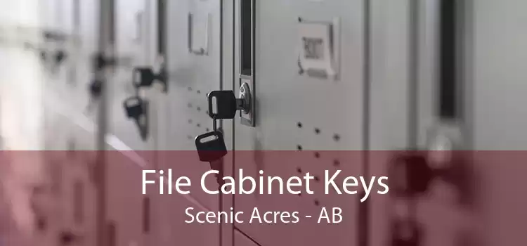 File Cabinet Keys Scenic Acres - AB